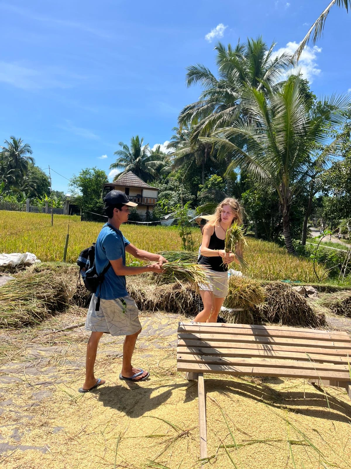 Guest joining a local rice field experience in Lombok