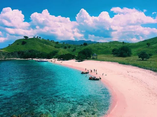 Pink Beach tour with clear water in Lombok